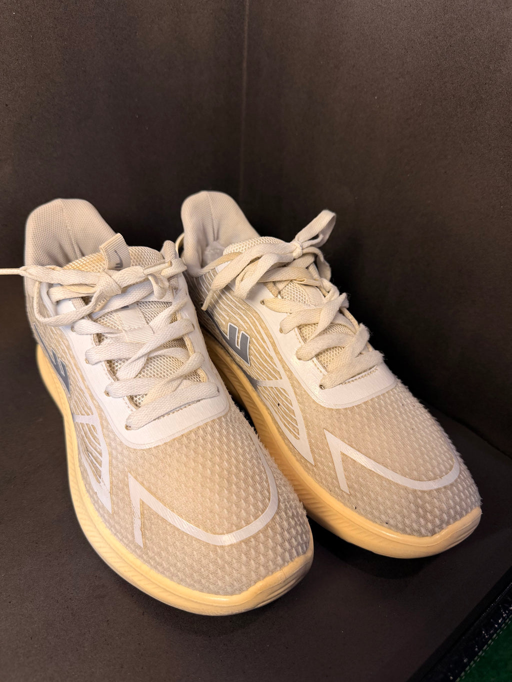 White and Grey Indoor Court Sneaker