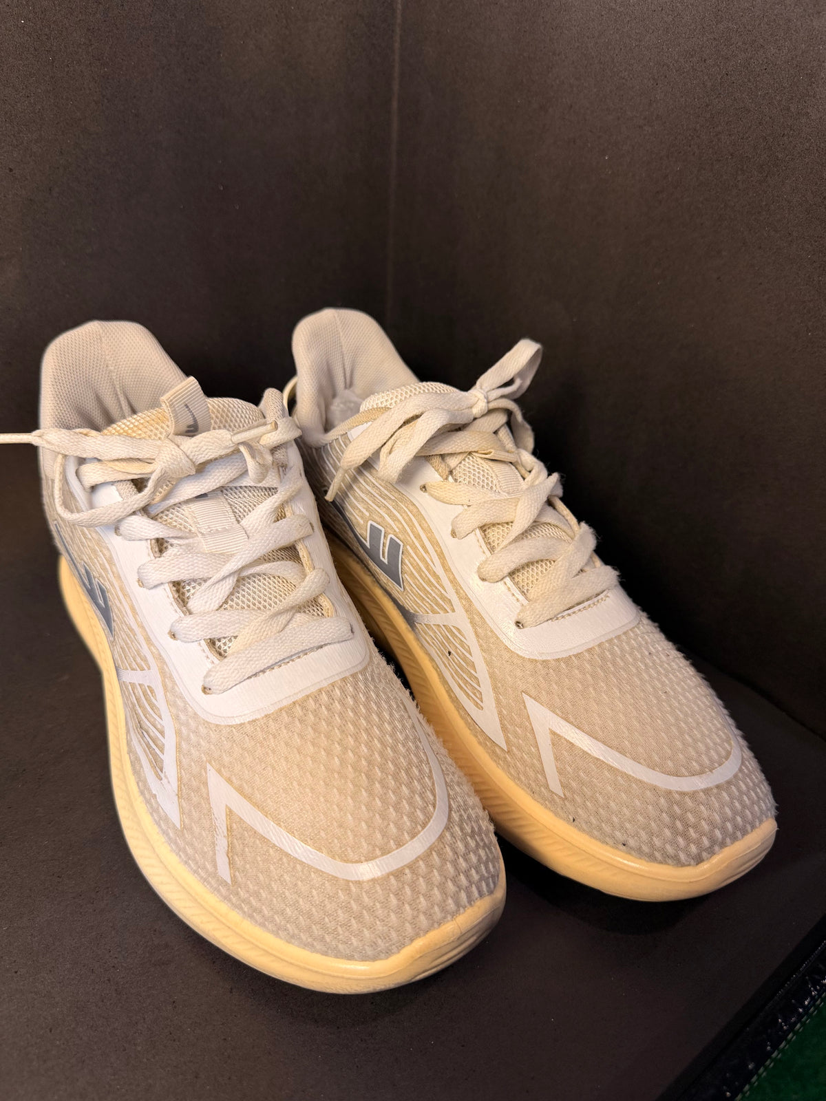 White and Grey Indoor Court Sneaker