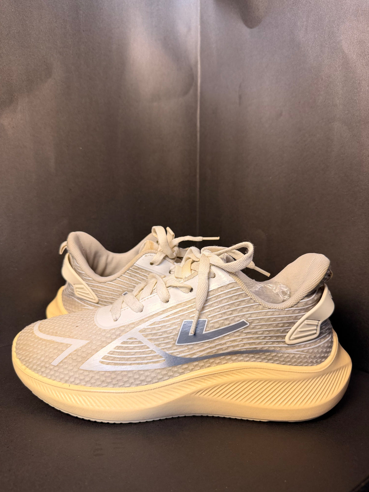 White and Grey Indoor Court Sneaker