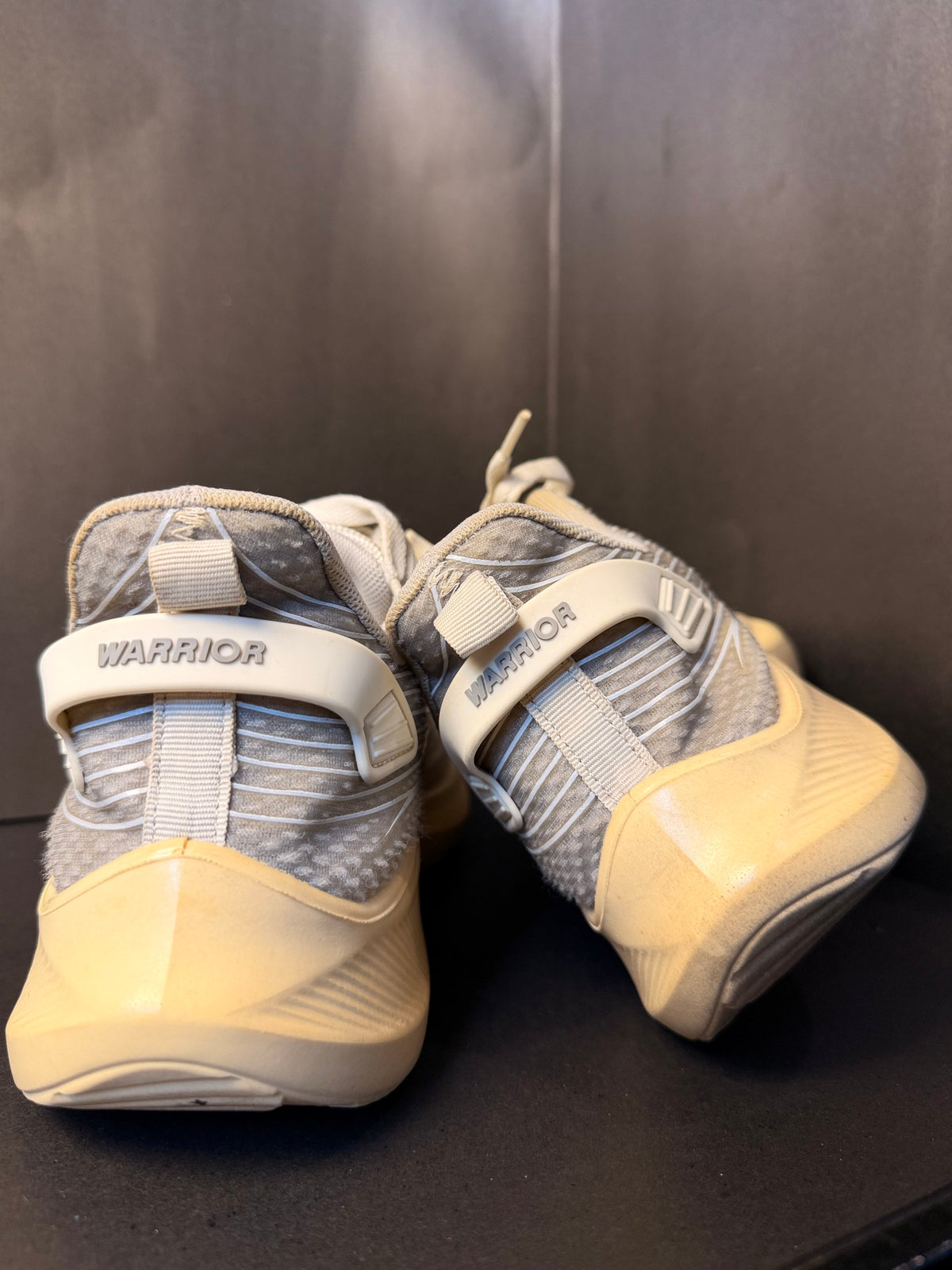White and Grey Indoor Court Sneaker