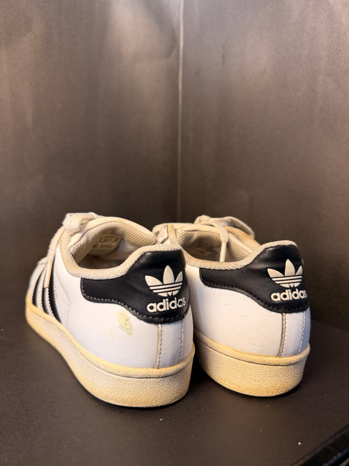 Addidas Superstar Sneakers(Adidas)