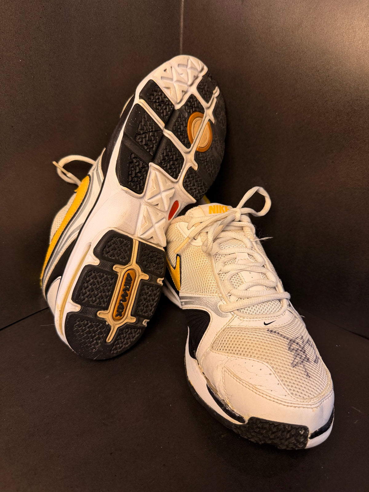 Nike AirMax Edge Traning (Nike)