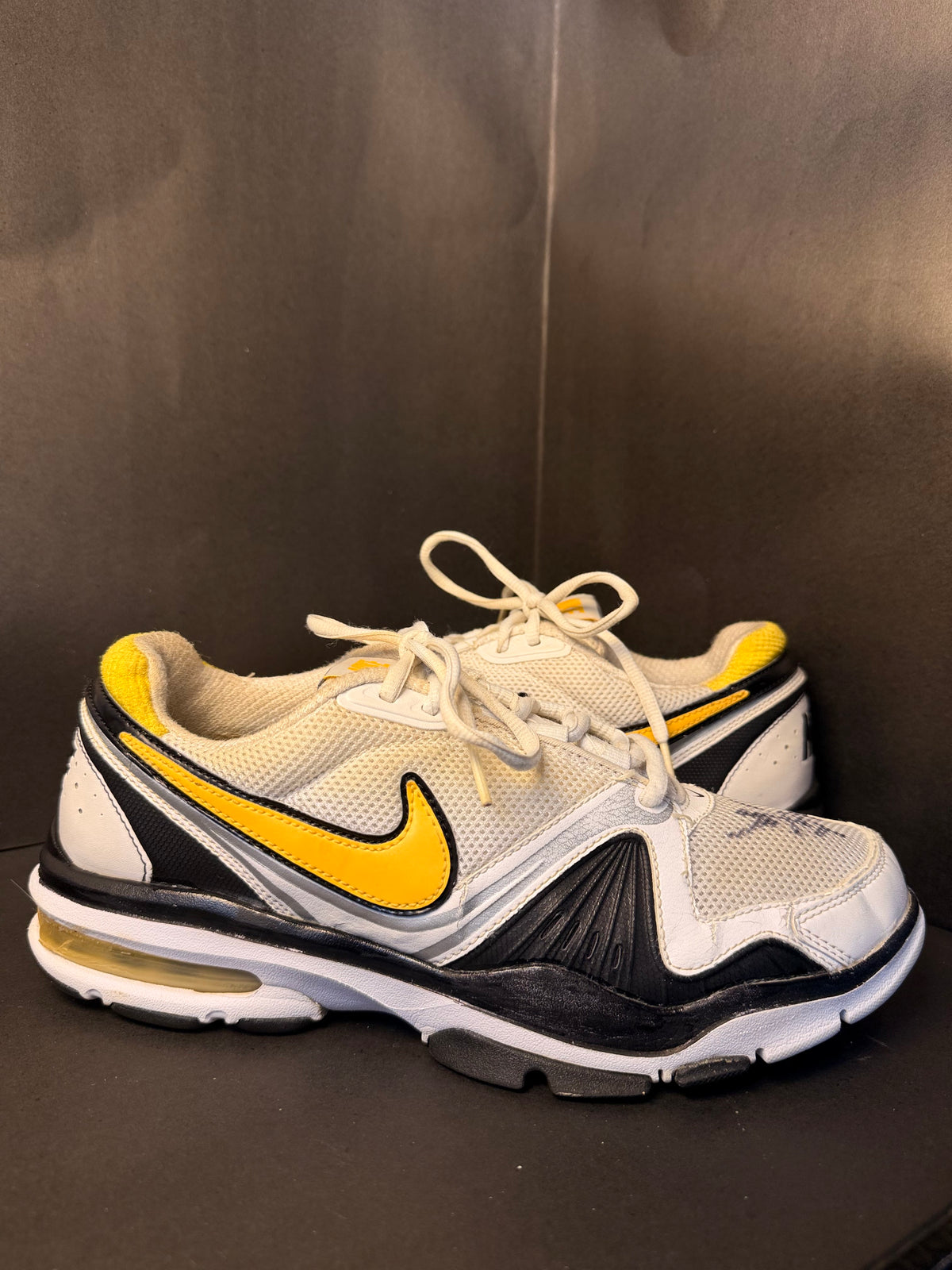 Nike AirMax Edge Traning (Nike)