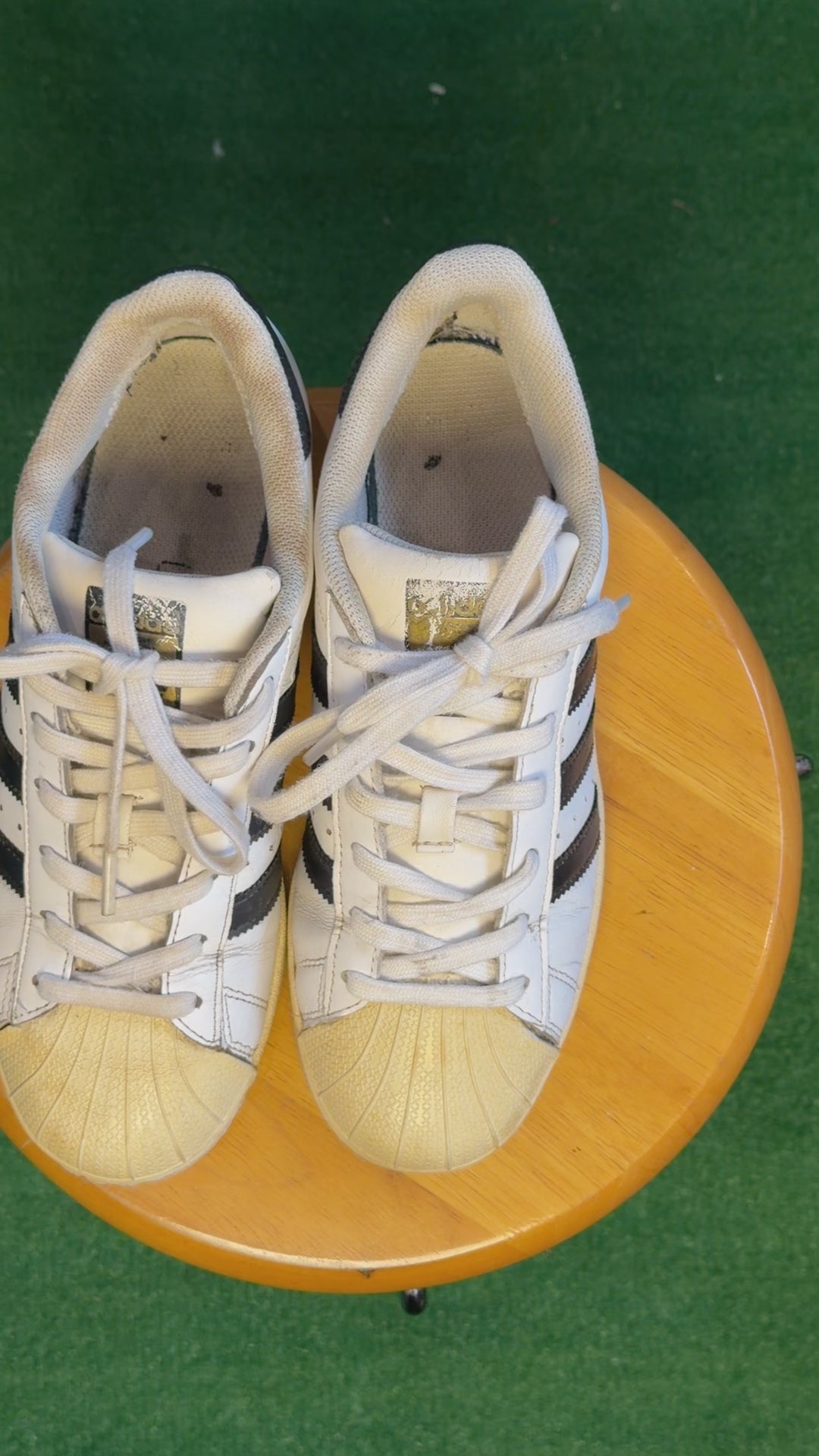 Addidas Superstar Sneakers(Adidas)